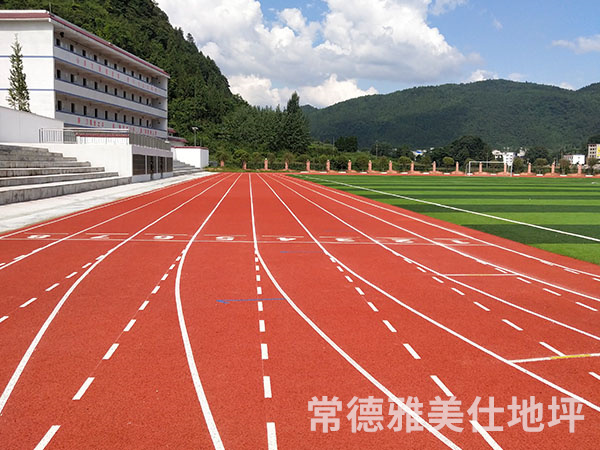 銅仁中學(xué)塑膠跑道、草坪
